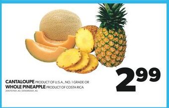 Real Canadian Superstore Cantaloupe or whole pineapple offer