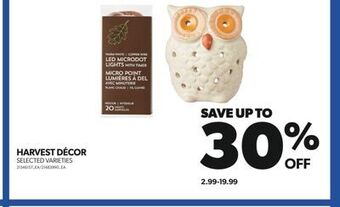 Real Canadian Superstore Harvest décor offer