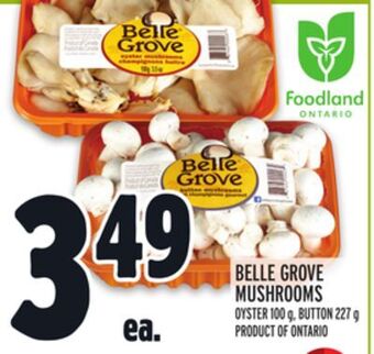 Metro Belle grove mushrooms offer