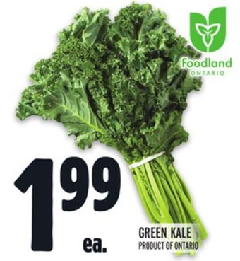 Metro Green kale offer