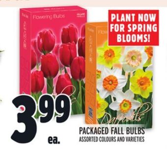 Metro Packaged fall bulbs offer