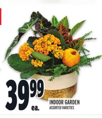 Metro Indoor garden offer