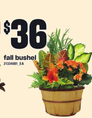 Loblaws Fall bushel offer