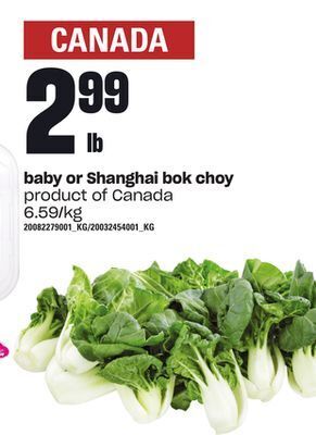 Loblaws Baby or shanghai bok choy offer