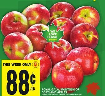 Food Basics Royal gala, mcintosh or cortland apples offer