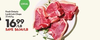 Longo's Fresh ontario lamb loin chops offer
