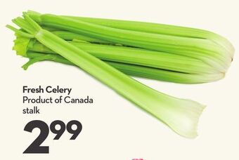 Longo's Fresh celery offer