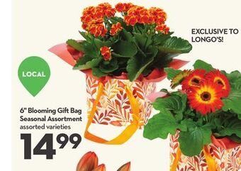 Longo's 6 blooming gift bag seasonal assortment offer