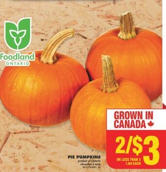 No Frills Pie pumpkins offer