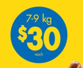 No Frills Turkey, 7-9 kg offer