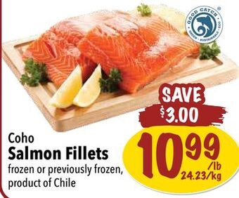 Farm Boy Coho salmon fillets offer