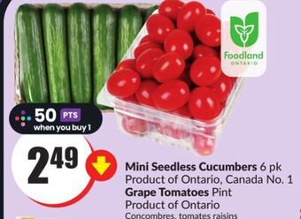 Chalo FreshCo Mini seedless cucumbers 6 pk product of ontario, canada no. 1 grape tomatoes pint product of ontario offer