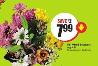 Chalo FreshCo Fall mixed bouquets offer