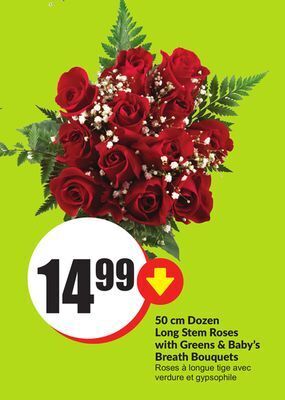 Chalo FreshCo 50 cm dozen long stem roses with greens & baby's breath bouquets offer