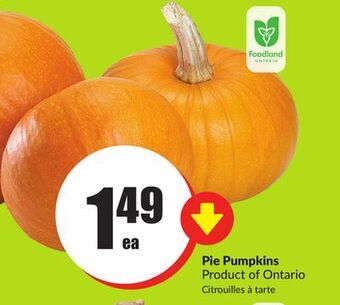 Chalo FreshCo Pie pumpkins product of ontario offer