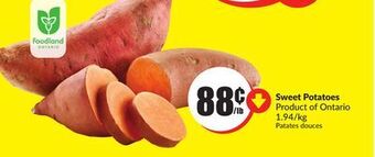 FreshCo Sweet potatoes product of ontario 1.94/kg offer