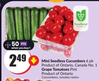 FreshCo Mini seedless cucumbers 6 pk product of ontario, canada no. 1 grape tomatoes pint product of ontario offer