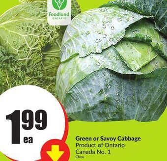 FreshCo Green or savoy cabbage product of ontario canada no. 1 offer