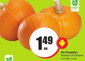 FreshCo Pie pumpkins product of ontario offer