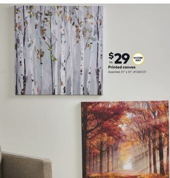 Giant Tiger Printed canvas offer