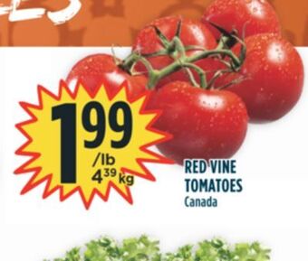 Marché Adonis Red vine tomatoes offer