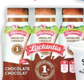 Marché Adonis Lactantia chocolate milk 1% offer