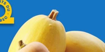 Walmart Assorted squash offer