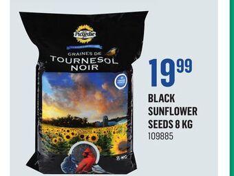 Canac Black sunflower seeds 8 kg offer