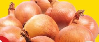 Giant Tiger 2 lb onions offer