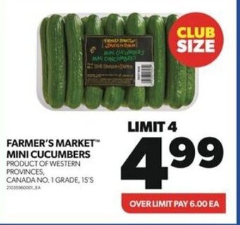 Real Canadian Superstore FARMER'S MARKET MINI CUCUMBERS offer