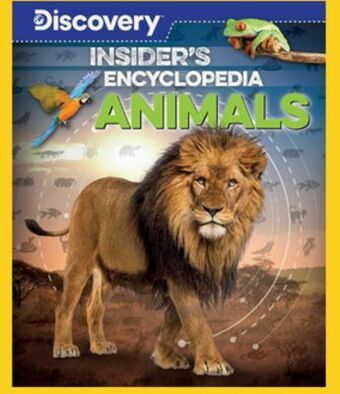Samko & Miko Toy Warehouse Discovery insider's encyclopedia offer