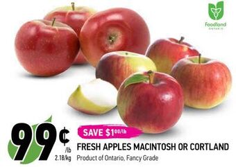 Coppa's Fresh Market Fresh apples macintosh or cortland offer