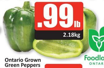 Starsky Ontario grown green peppers offer