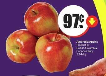 FreshCo Ambrosia Apples offer