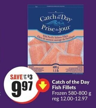 FreshCo Catch of the Day Fish Fillets offer