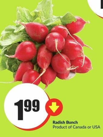 FreshCo Radish Bunch offer