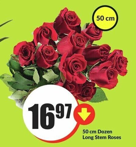 FreshCo 50 cm Dozen Long Stem Roses offer