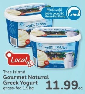 IGA Tree Island Gourmet Natural Greek Yogurt offer