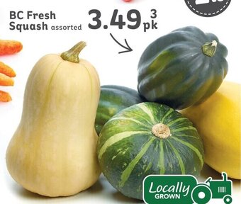 IGA BC Fresh Squash offer