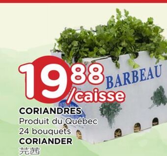 Kim Phat Coriander offer
