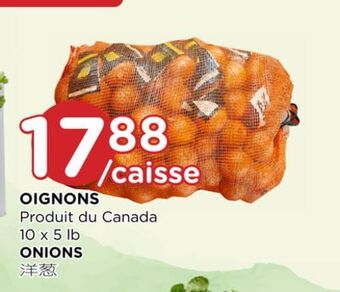 Kim Phat Onions offer
