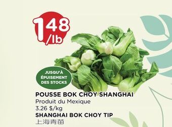 Kim Phat Shanghai bok choy tip offer