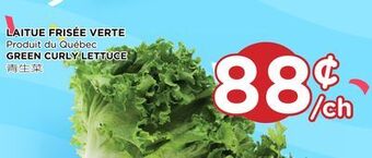 Kim Phat Green curly lettuce offer