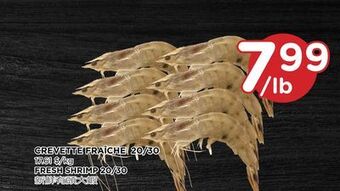 Kim Phat Fresh shrimp 20/30 offer