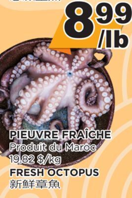 Kim Phat Fresh octopus offer
