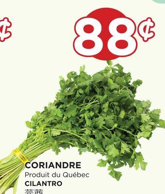 Kim Phat Cilantro offer