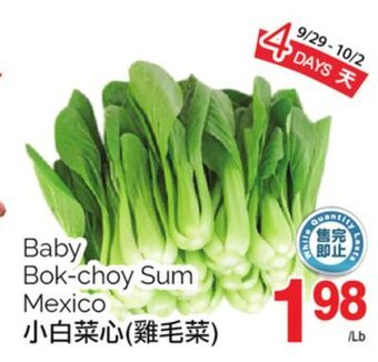 T&T Supermarket Baby bok-choy sum offer
