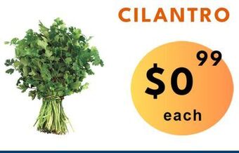 Food World Supermarket Cilantro offer