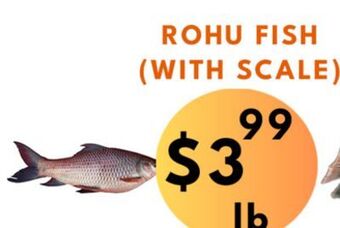 Food World Supermarket Rohu fish (with scale) offer