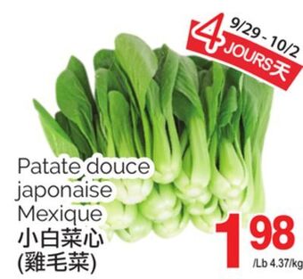 T&T Supermarket Petit bok-choy sum offer